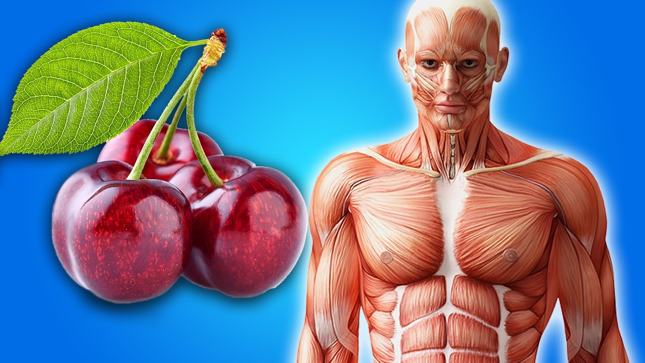 8 Reasons Why You Need To Start Eating Cherries Today