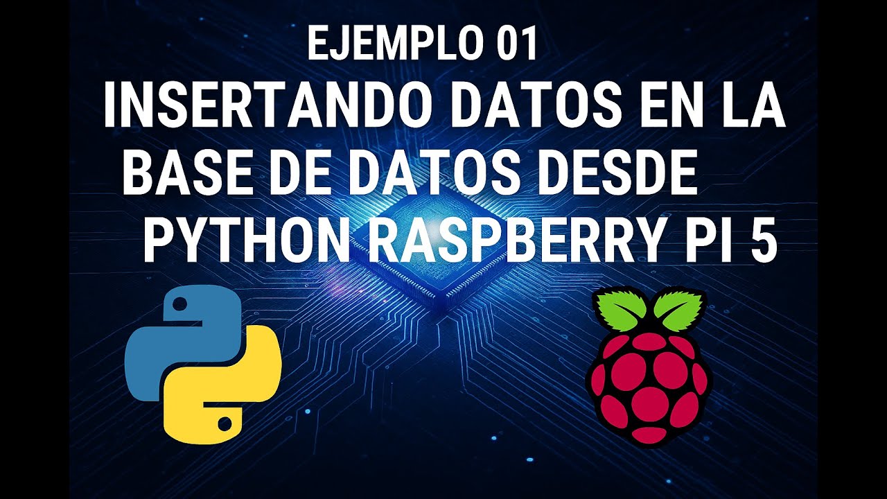 Cómo insertar datos en MariaDB desde Python en Raspberry Pi 5 | Ejemplo práctico mysql-connector