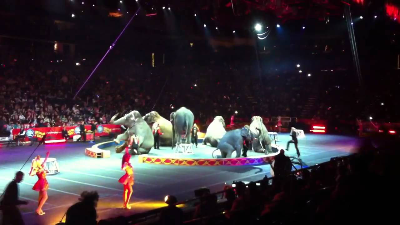 Dragons Show: Elephants
