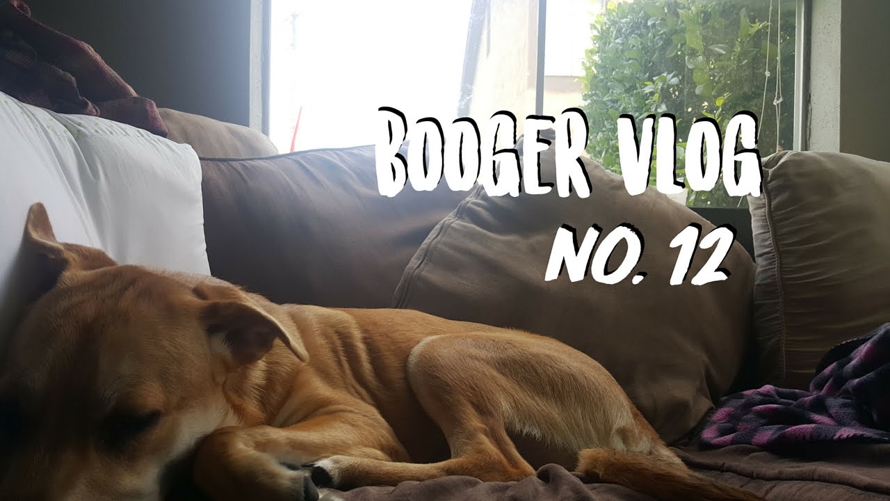 Booger Vlog no.12