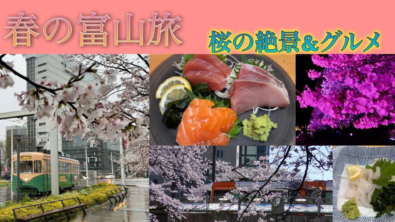 春の富山旅　桜の絶景&富山グルメ