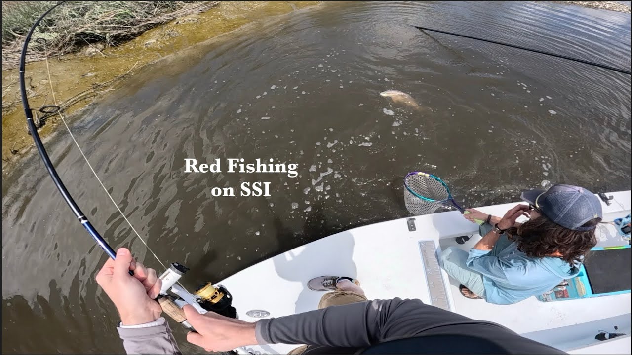 Hooked up with light tackle on a nice Redfish!
