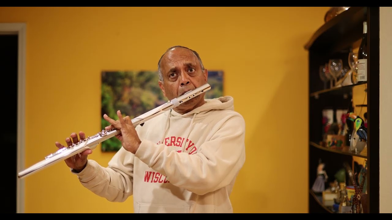 Phir Wohi Raat Hai  Aerophone Brisa Cover (Flute)