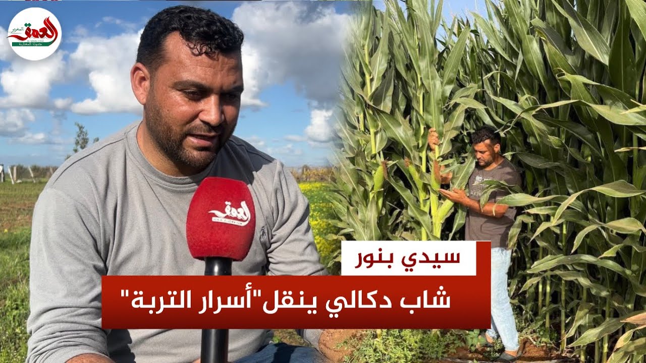 من حقول دكالة إلى 