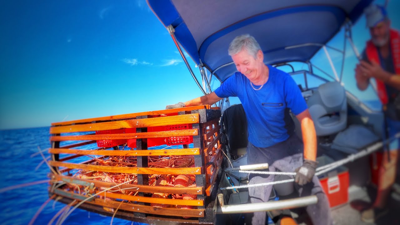 We’re On! 37 Crays In One Pot 🦞 CrayFishing Perth