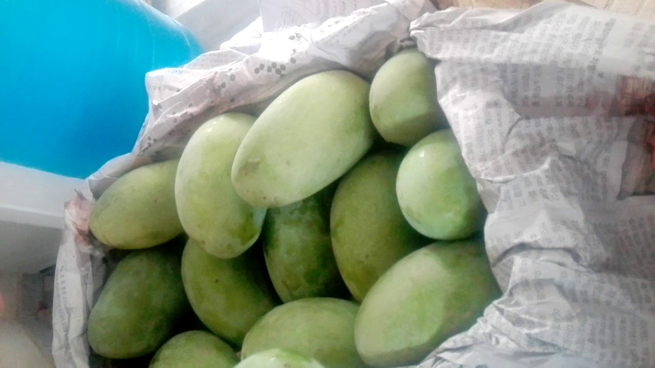 fresh white chaunsa mango ( King of fruits )