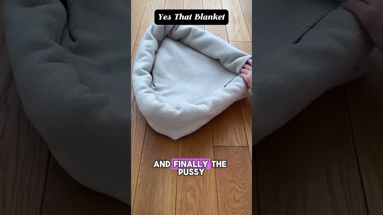 DIY Pet Bed: Create a Cozy Spot for Your Furry Friend with YesThatBlanket! #yesthatblanket #diy