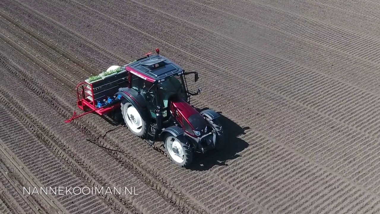 NKFXE Transplanting trails (Cabbage)
