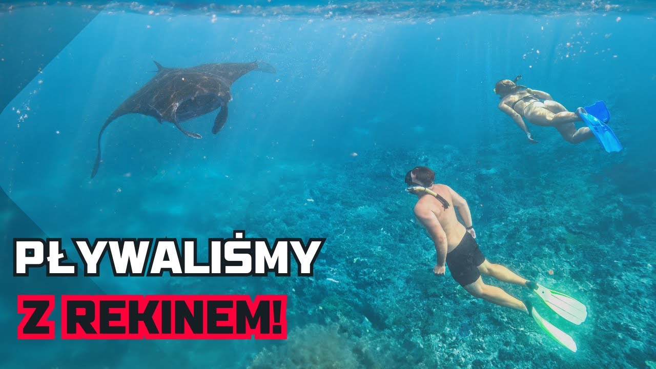 REKIN WIELORYBI, OGROMNE PŁASZCZKI i PLAŻE Z INSTAGRAMA. NUSA PENIDA, INDONEZJA 🇮🇩