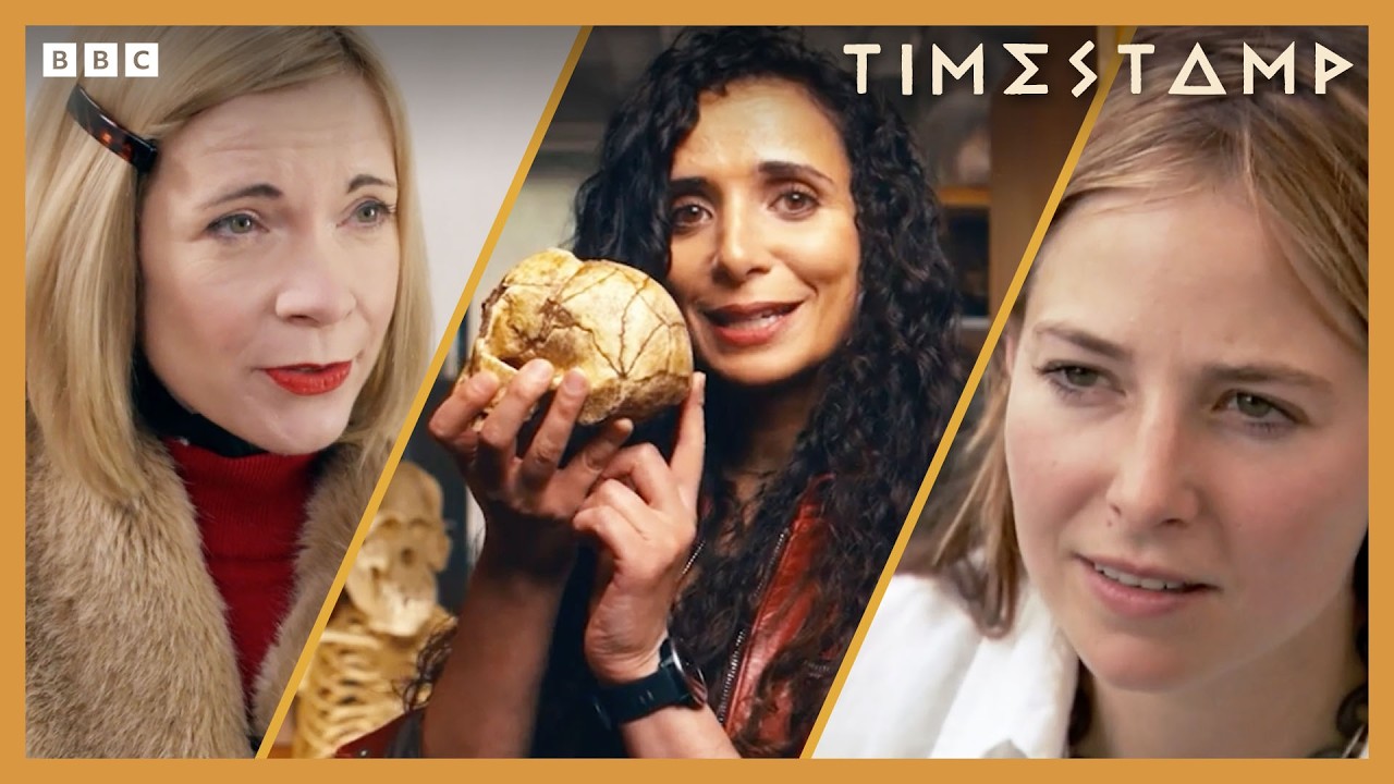 Learn About Prehistoric Life | BBC Timestamp