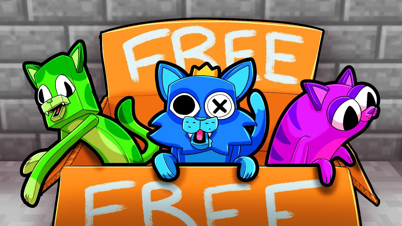 THE RAINBOW CATS!