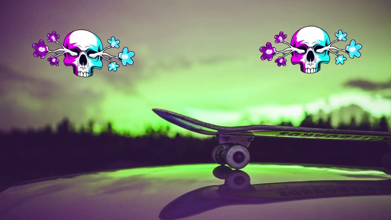 ska punk skate type beat | sublime type beat