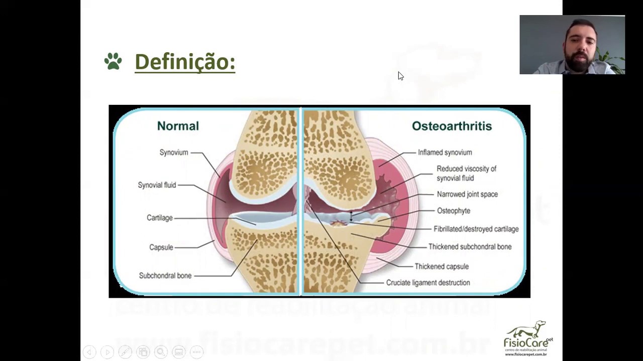 Palestra Controle de Dor em pacientes geri&aacute;tricos com osteoartrose