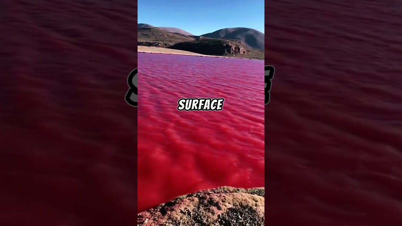 How Is the Red Sea Actually Red?