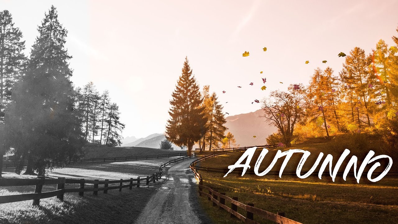Autumn's thoughts | Cinematic Short Film | Panasonic G85