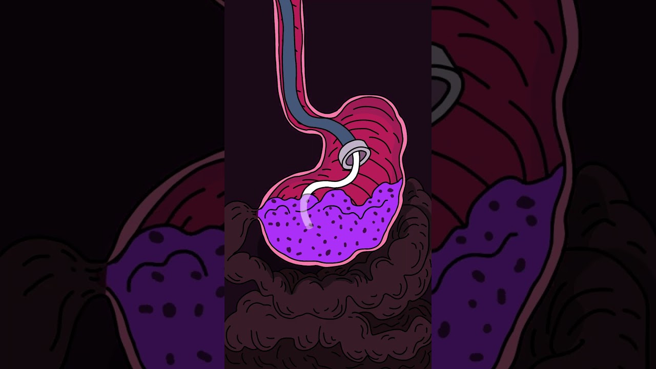 Grimace Shake 🥤🟣 Let me do it for you ! Thanos trying the drink(Animation Meme)