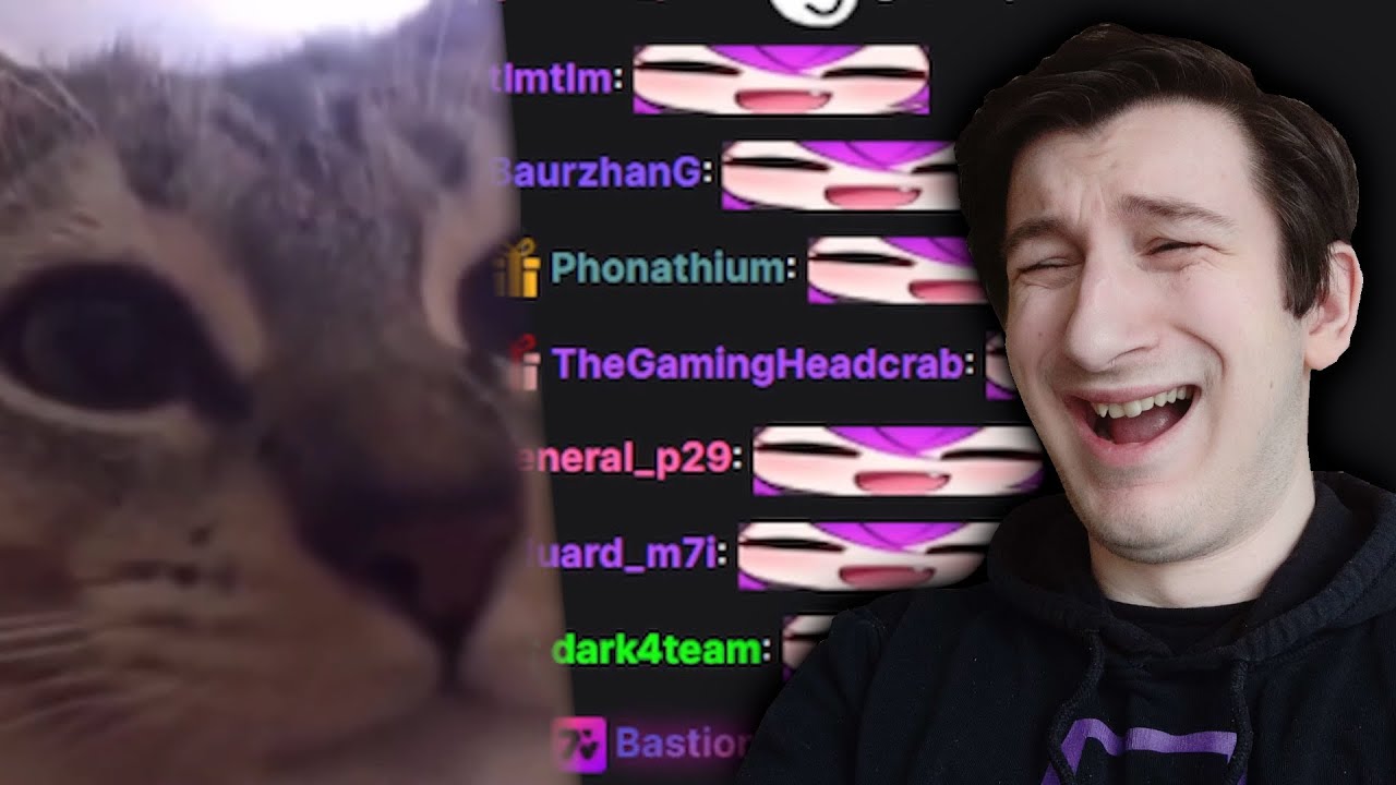Reacting to your Best Animal memes