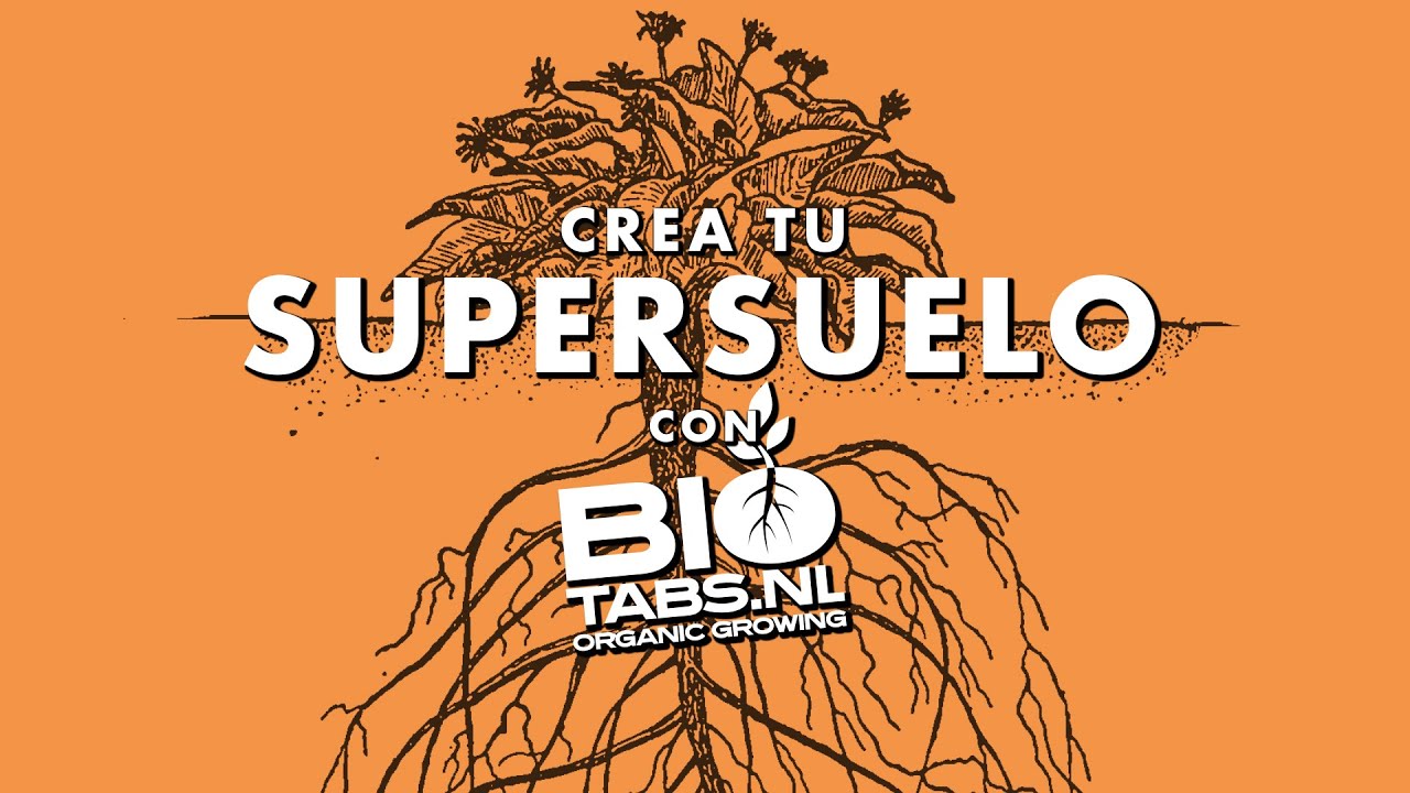 Crea tu SUPERSUELO con BioTabs