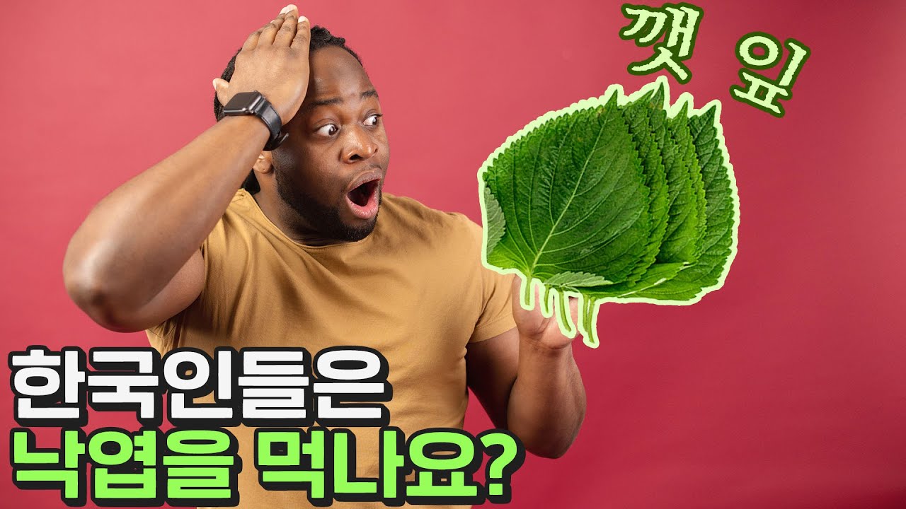 대한민국만 먹는다는 코리안 허브 깻잎