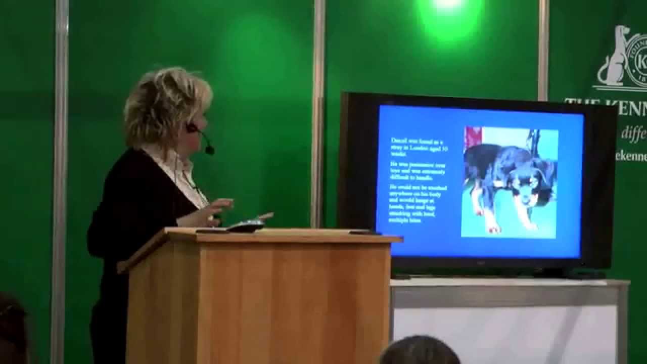 Tellington TTouch - Sarah Fisher - Discover Dogs