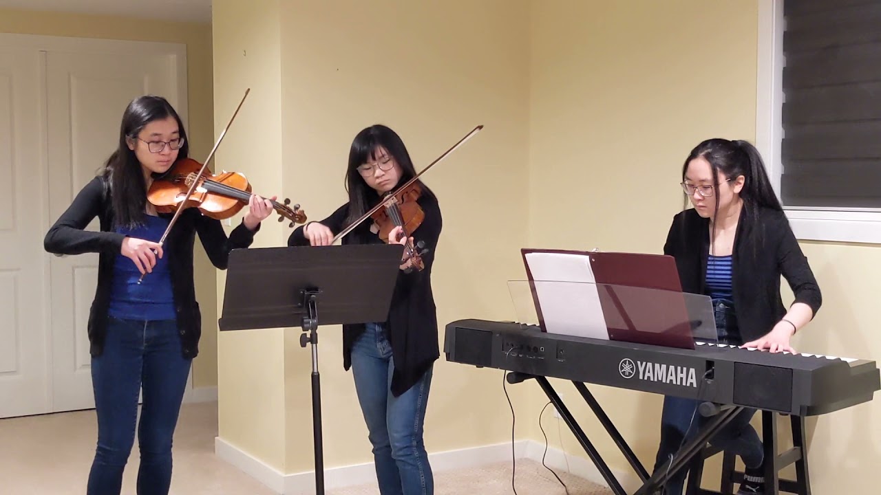 Mary Did You Know for 2 violin and piano