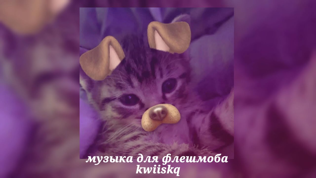 музыка для флешмоба ||песни из тик тока||★