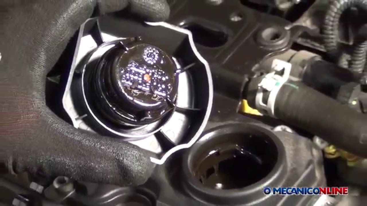 Flushing - Limpeza interna de motor