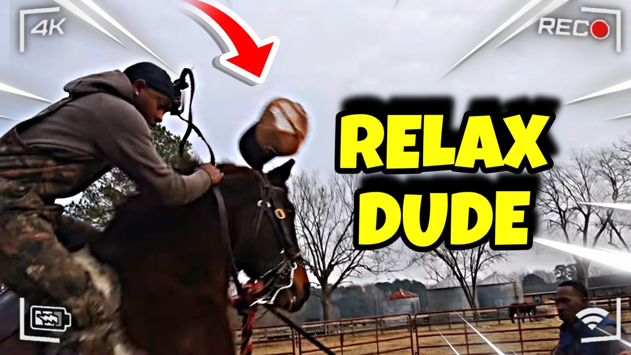 Roscoe Bucked Bull Off 😳 | Day 3 Breaking My Horse “Roscoe” 