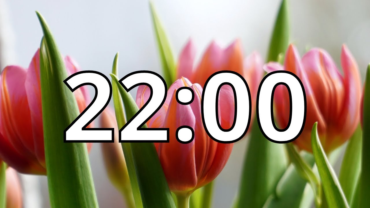22 Minutes Timer with Music | Spring Timer