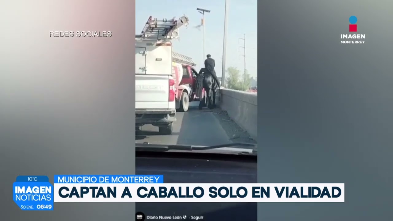Caballo negro es grabado cabalgando en Monterrey | Noticias MTY primera emisión