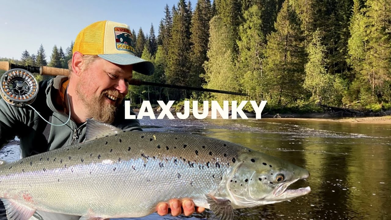 VLOGG - LAXJUNKY