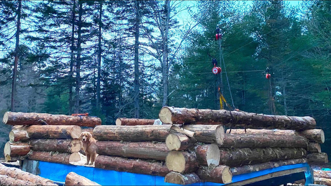 Heavy Lifting Alone! Building an Off Grid Log Cabin in the Woods | Alone in the Wilderness, Ep6