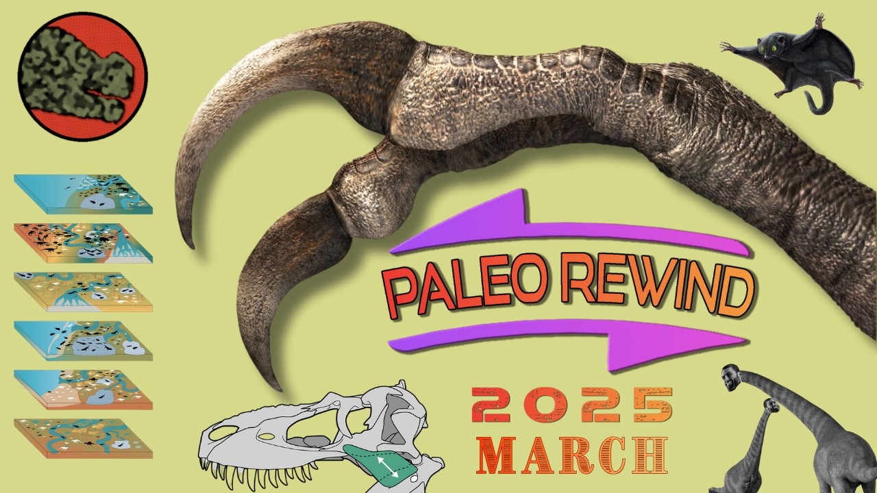 Chaditian, Duonychus, Exoparia, & More! | PaleoRewind 2025: March