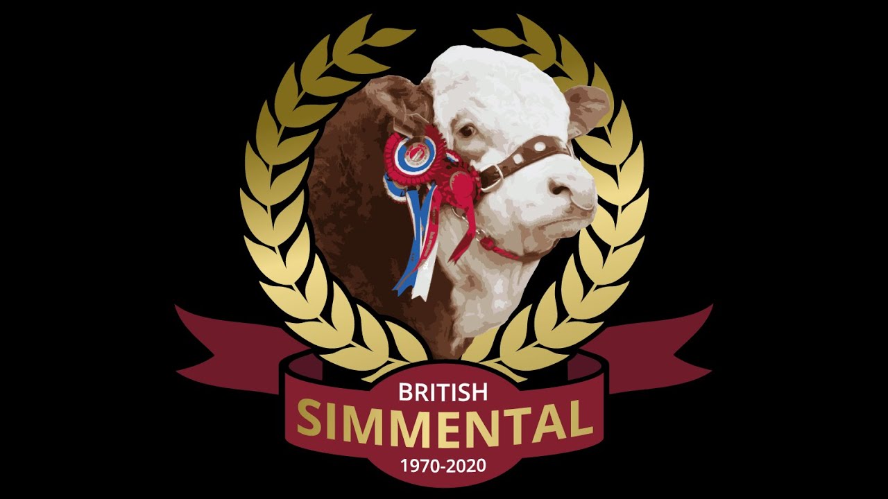 Simmental Sale at Stirling at 10.00am on Monday 17th February '25