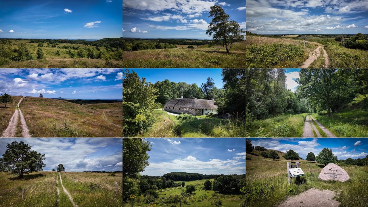 🇩🇰 Silent Hiking 🌳🌍🌳 Mols Bjerge: Bjergetapen: Molslaboratoriet: Naturen i Danmark: Visit Denmark