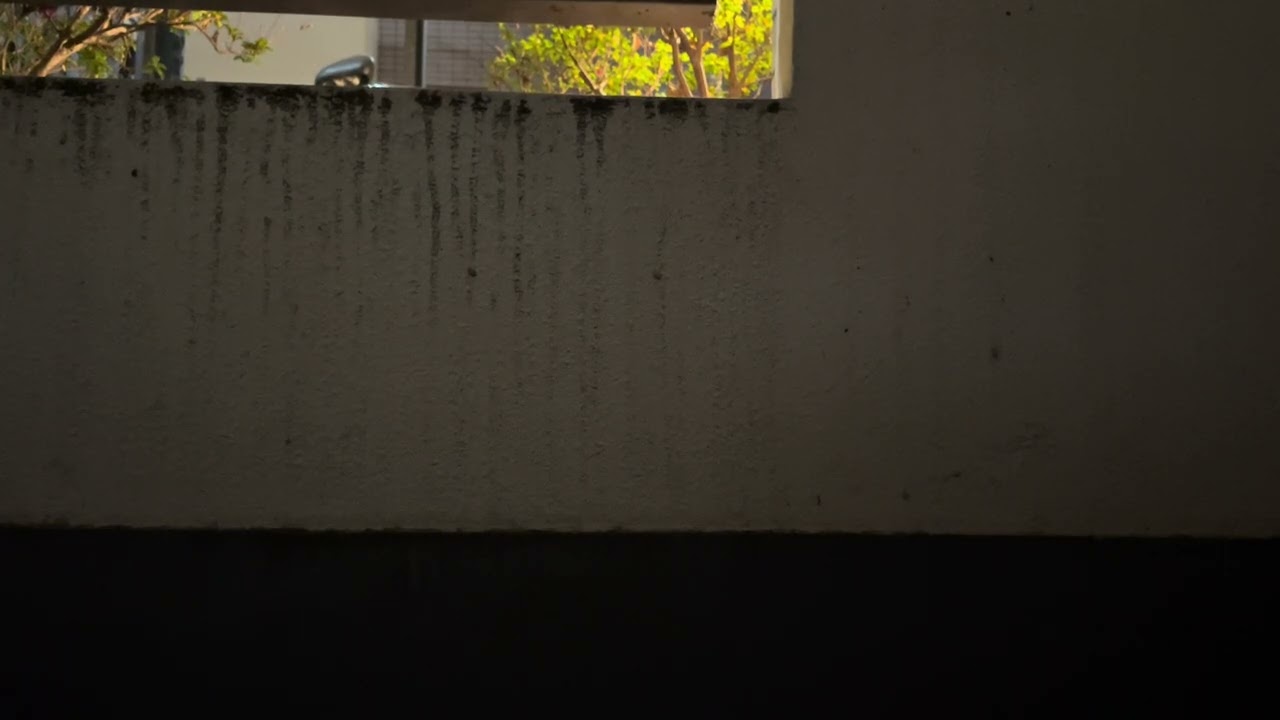 Quiet Evening Balcony Ambience (Yesterday) | Urban Ambient Sound | No Music