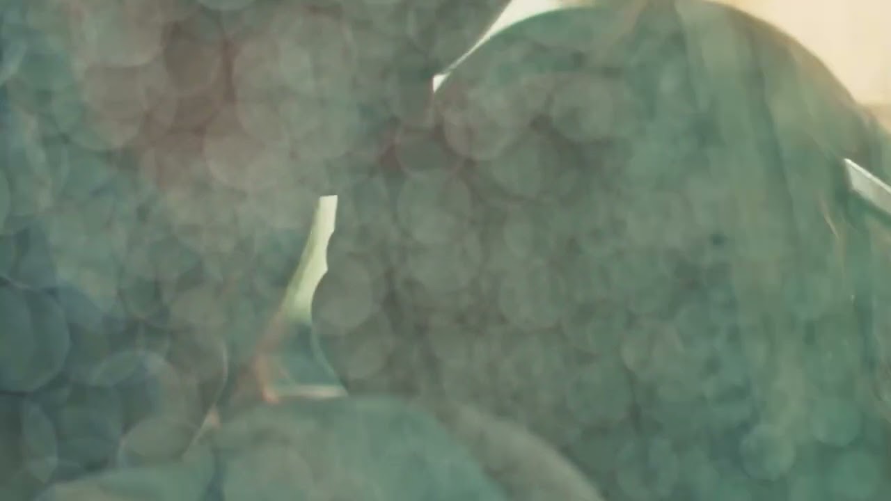 Anin & Pin - Only Us || Love Scene The Loyal Pin