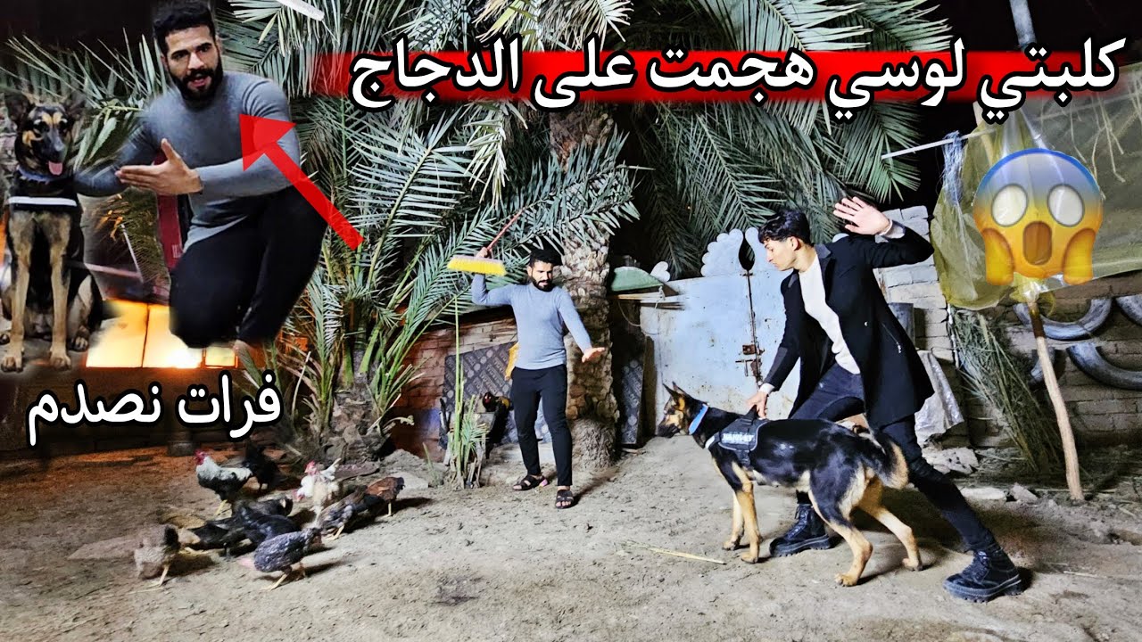 اول لقاء بيني وبين فرات الصياد _ اخذت لوسي على المحمية _ هجمت على الطيور! صدمه 😨