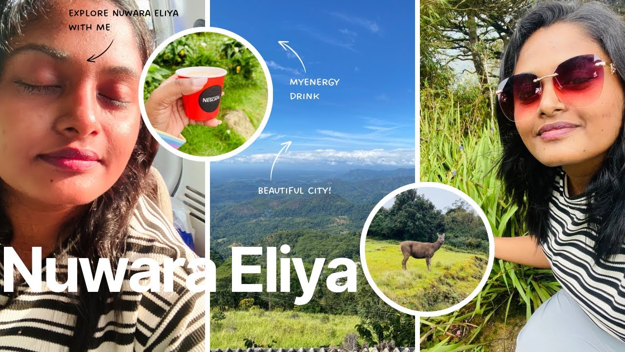 Trip to Nuwara Eliya ✨🍃🌼 | #srilanka #nuwaraeliya