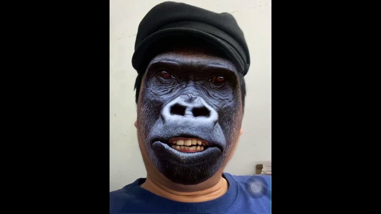 Con khỉ ghê gớm bảo em bé đi ngủ (Terrible Monkey)
