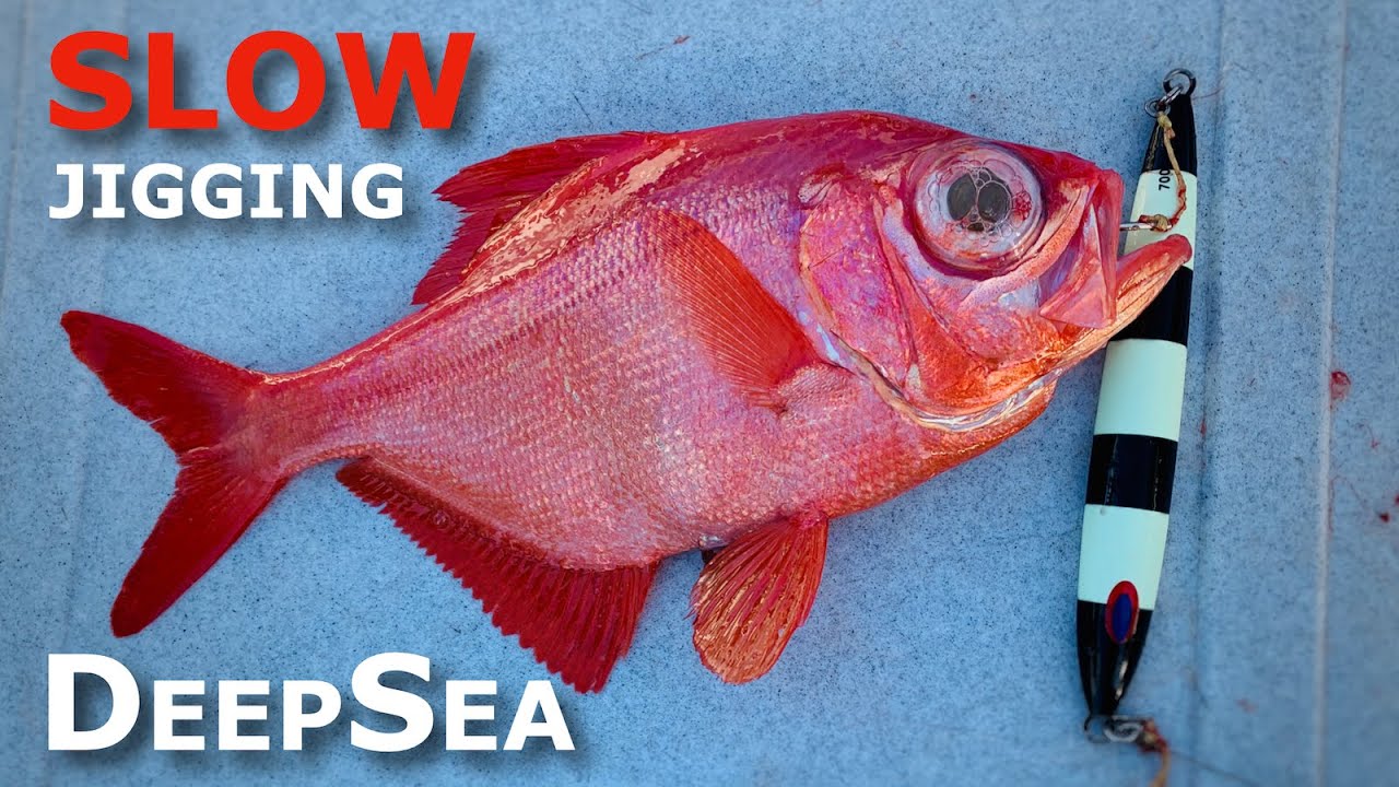 Fishing Offshore Slow Jigging 18th June 2020, Browns Mountain Sydney Australia
