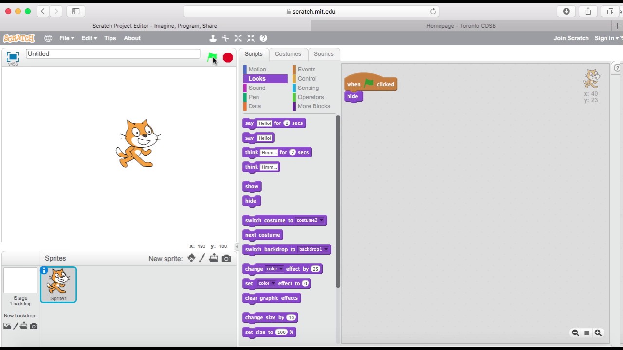 Hide & Show Scratch Looks Blocks Purple