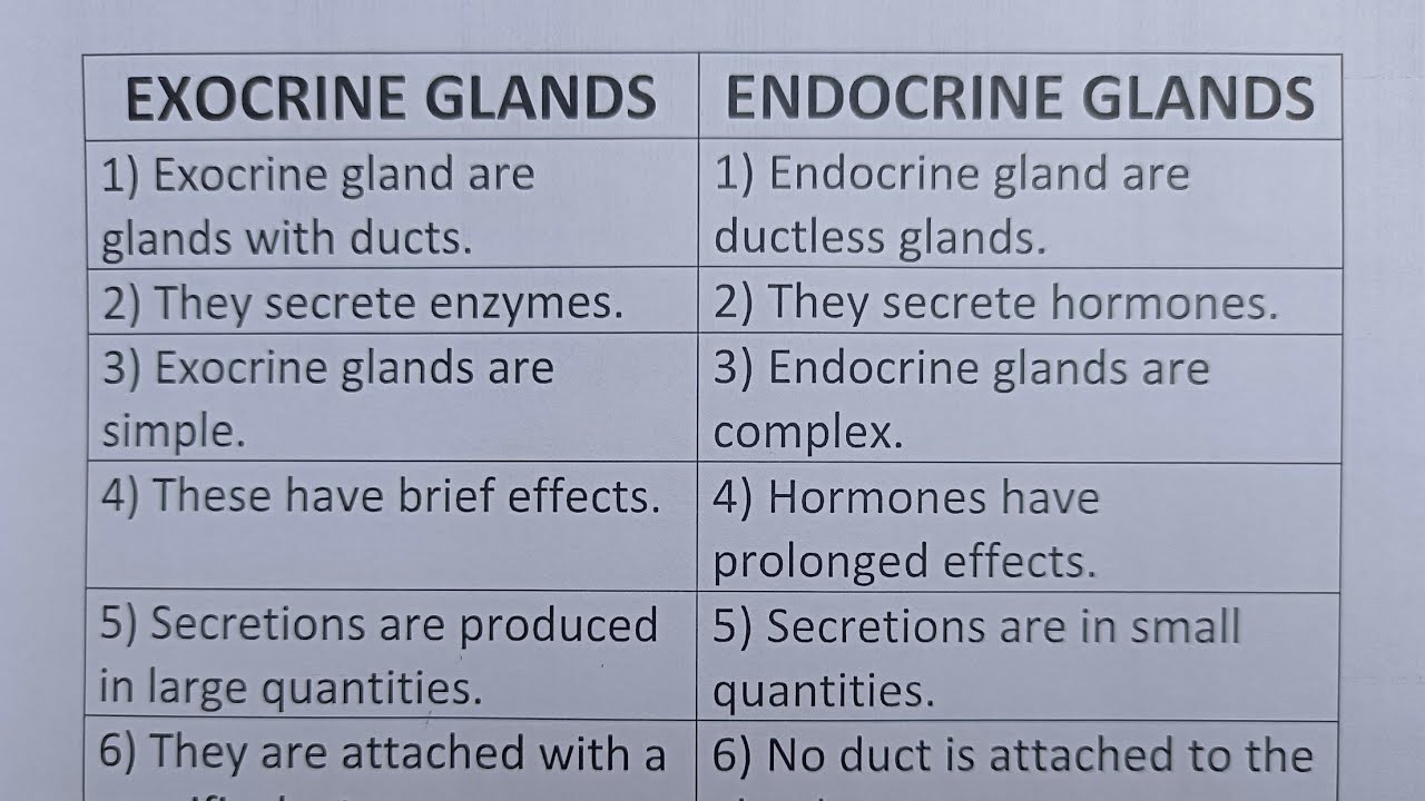 Difference Between Exocrine Glands And Endocrine Glands?-Class Series