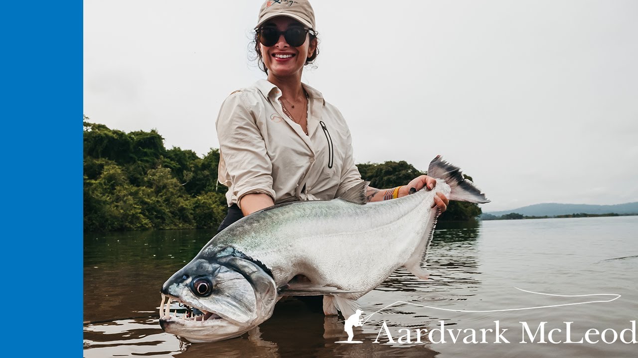 The Xingu Experience - Fly Fishing For Payara In Brazil