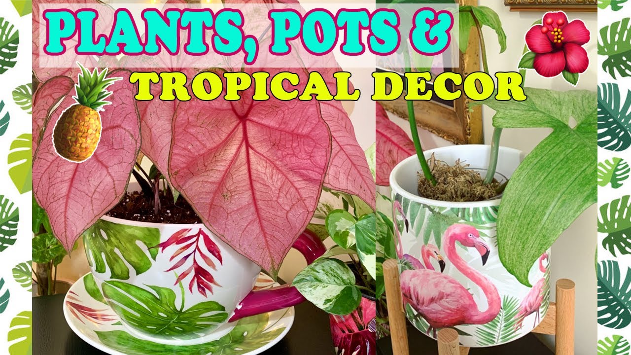 Plants 🌿Pots 🌻& Tropical Decor Tour 🌺🍍🏡