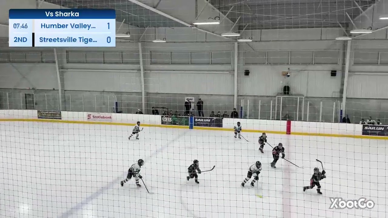 2nd Period vs Humber Valley Sharks on Jan. 12th