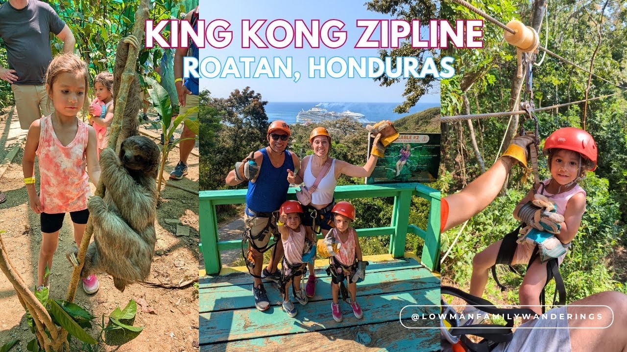 Flying High in Roatán!  Best YOUNG Family Shore Excursion! 🌴🧭🦥