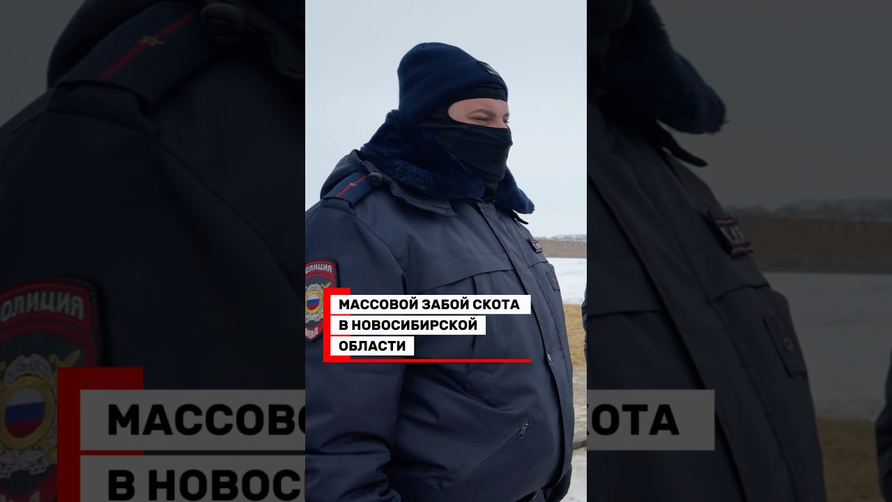 Контакты &ndash; в описании @yardrey #забойскота#новосибирск#юрист#козиха