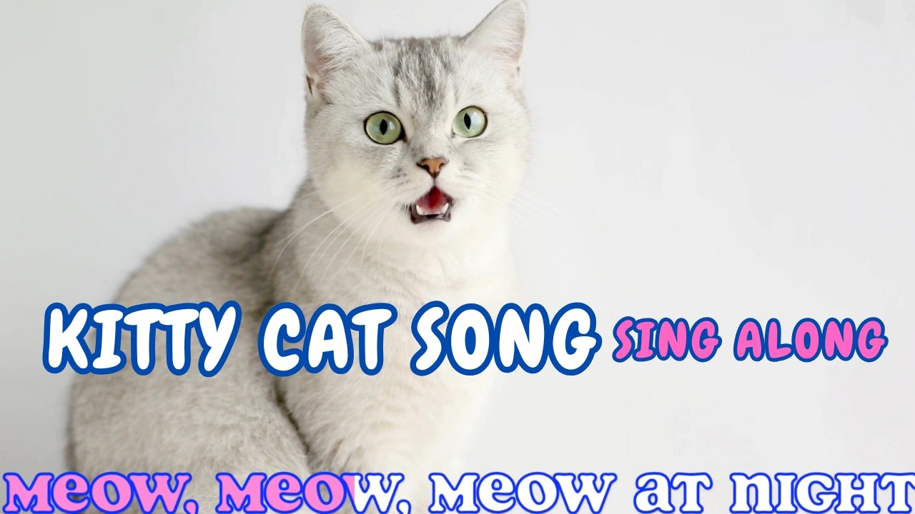 “The Kitty Cat Song” Cat Song | 🐱Kids Sing Along for Kids with Lyrics