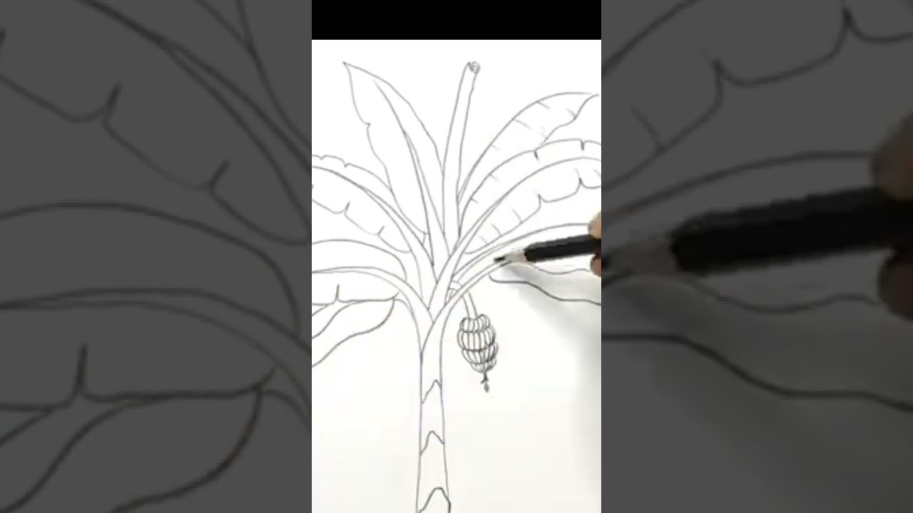 Drawing Art//Art pincl Art//Art Paper Drawing//Made on simple paege /watch and subscribe my channel